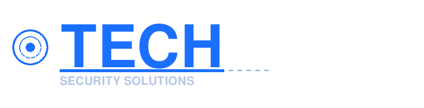 Techzonic